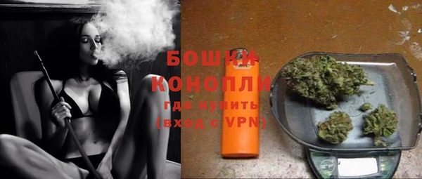 хмурый Анива