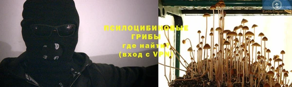 винт Надым