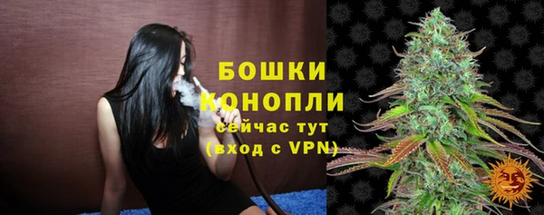 винт Надым
